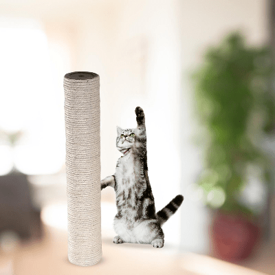 Griffoir Chat - ScratchingPost™ - Beige - Chat Boutik