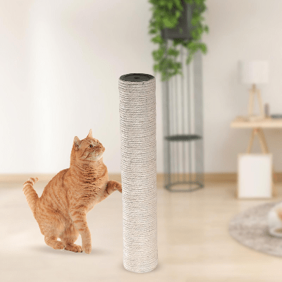 Griffoir Chat - ScratchingPost™ - Beige - Chat Boutik