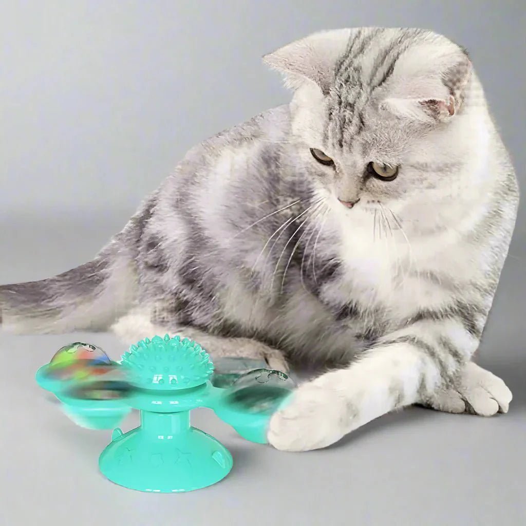 Jouet Pour Chat - MultifunctionalGlowingBall™ - Bleu ciel - Chat Boutik
