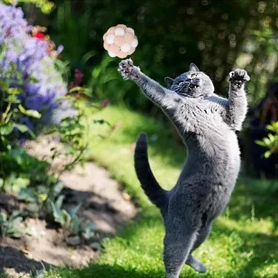 Balle pour Chat - JingleChase™ - Blanc - Chat Boutik
