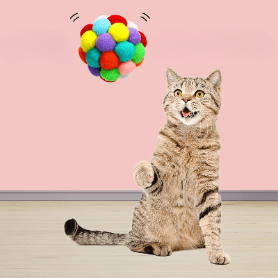 Balle pour Chat - JingleChase™ - Multicouleur - Chat Boutik
