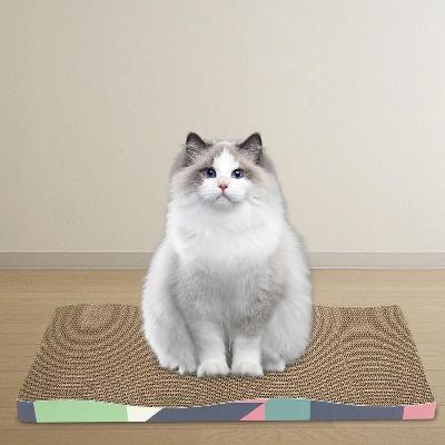 Grattoir Chat - PurrfectScratcher™ - Dune Bleue - Chat Boutik