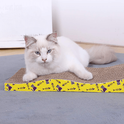 Grattoir Chat - PurrfectScratcher™ - Dune Jaune - Chat Boutik