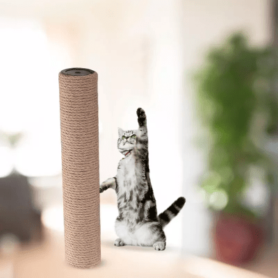 Griffoir Chat - ScratchingPost™ - Marron - Chat Boutik