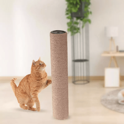 Griffoir Chat - ScratchingPost™ - Marron - Chat Boutik