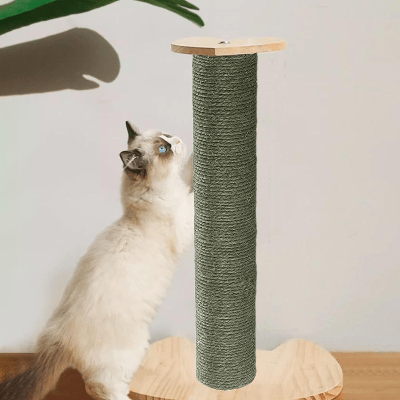 Griffoir Chat - ScratchingPost™ - Vert - Chat Boutik