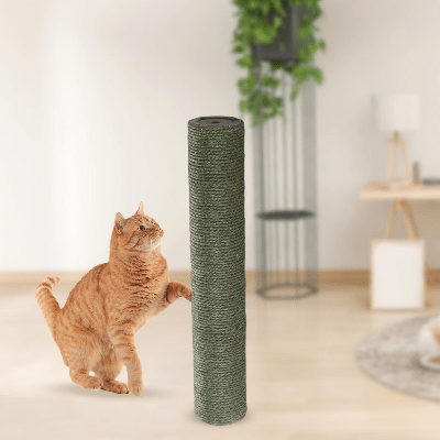 Griffoir Chat - ScratchingPost™ - Vert - Chat Boutik