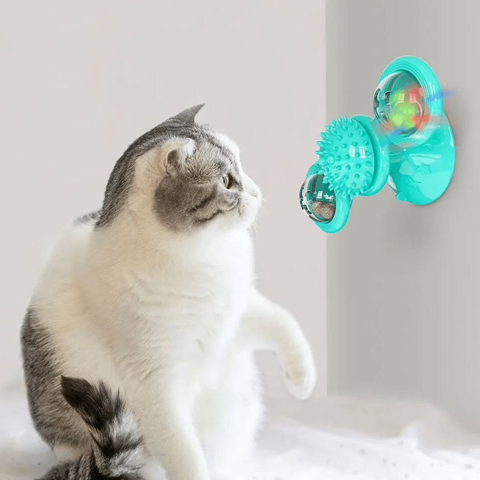 Jouet Pour Chat - MultifunctionalGlowingBall™ - Bleu ciel - Chat Boutik