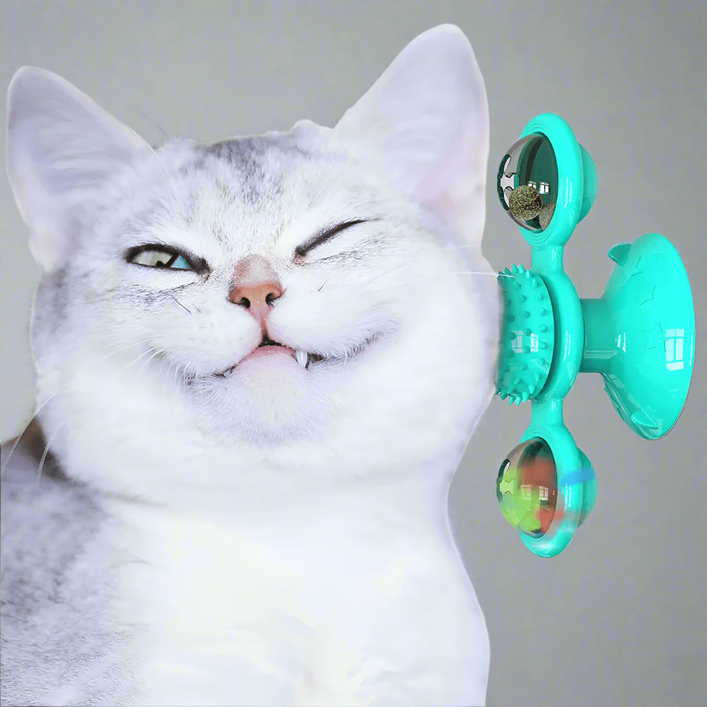 Jouet Pour Chat - MultifunctionalGlowingBall™ - Bleu ciel - Chat Boutik
