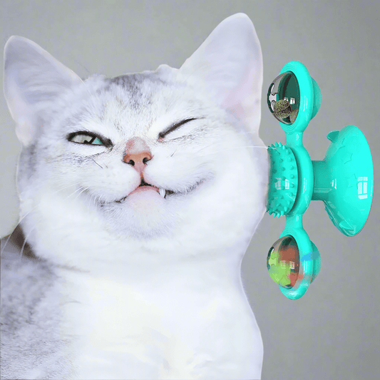 Jouet Pour Chat - MultifunctionalGlowingBall™ - Bleu ciel - Chat Boutik