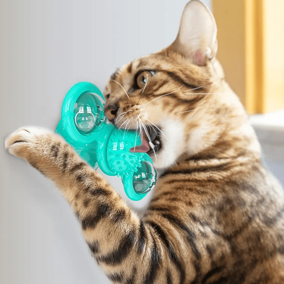 Jouet Pour Chat - MultifunctionalGlowingBall™ - Bleu ciel - Chat Boutik