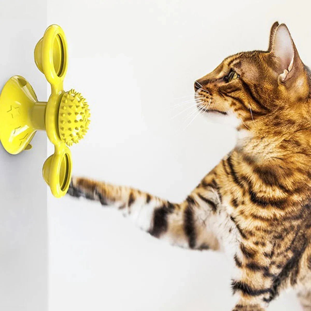 Jouet Pour Chat - MultifunctionalGlowingBall™ - Jaune - Chat Boutik