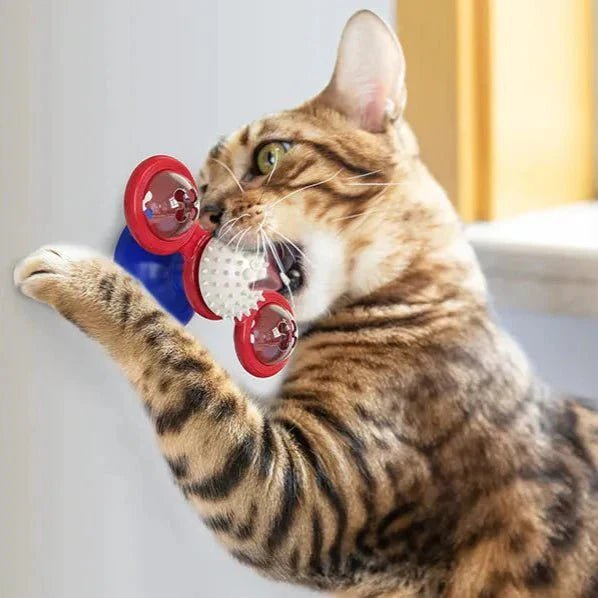 Jouet Pour Chat - MultifunctionalGlowingBall™ - Rouge - Chat Boutik