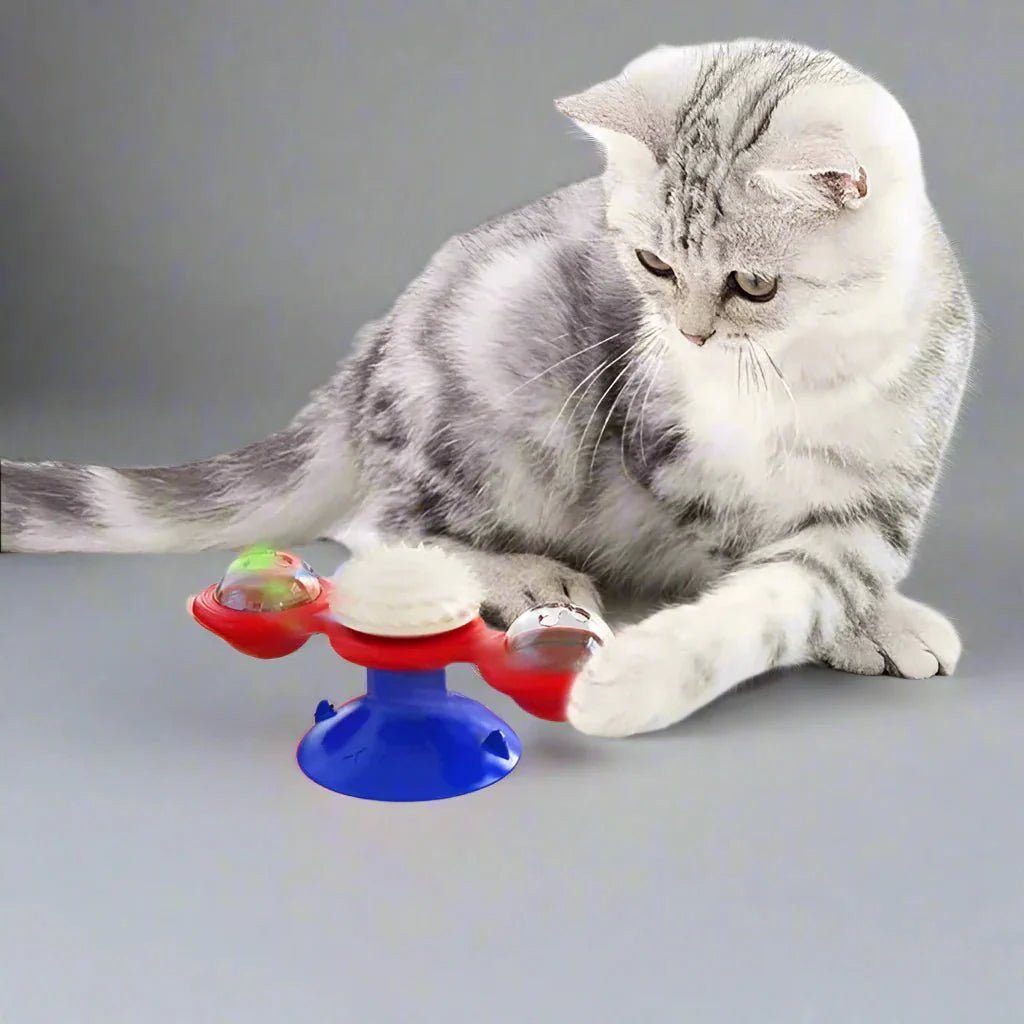 Jouet Pour Chat - MultifunctionalGlowingBall™ - Rouge - Chat Boutik